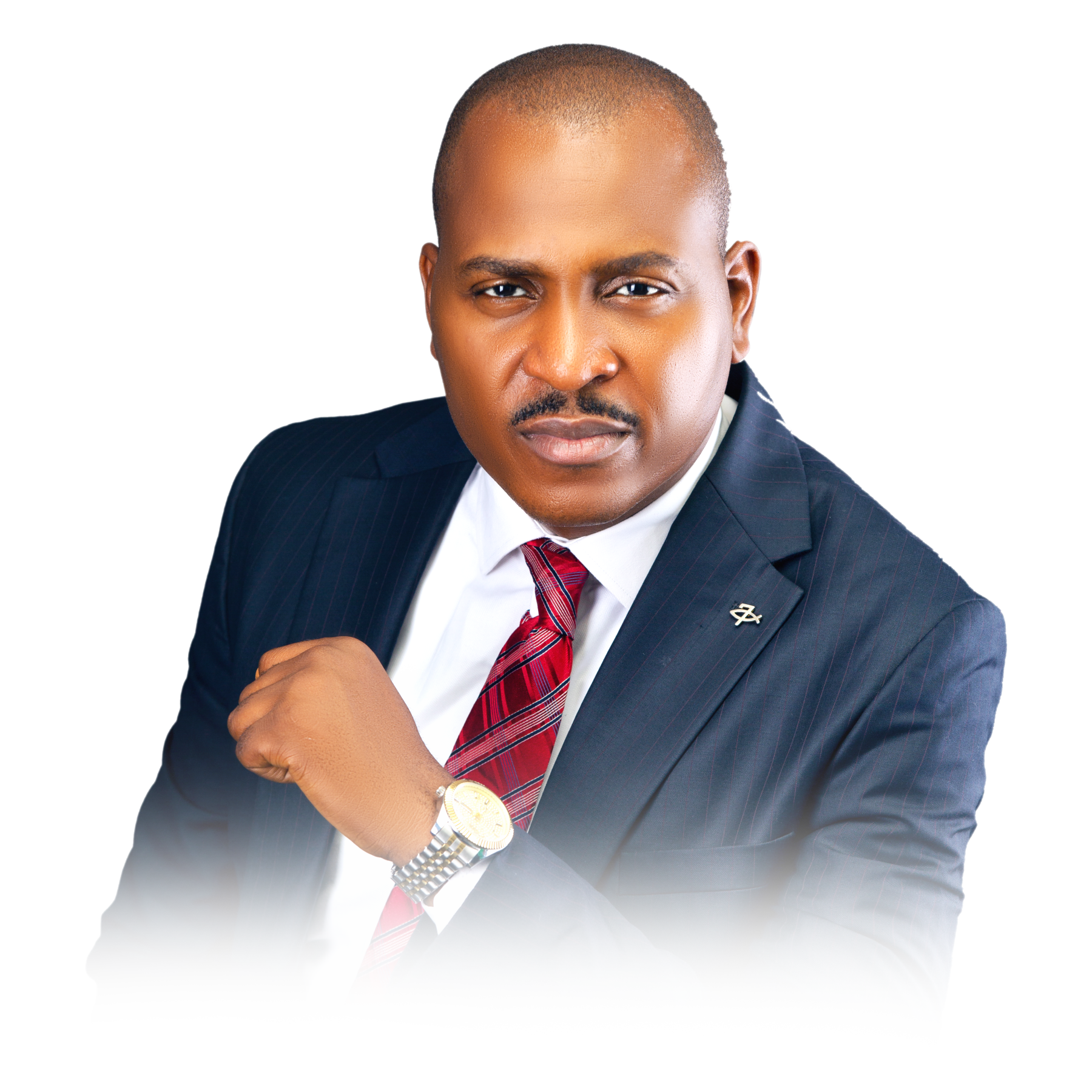 The CEO HL Consult
